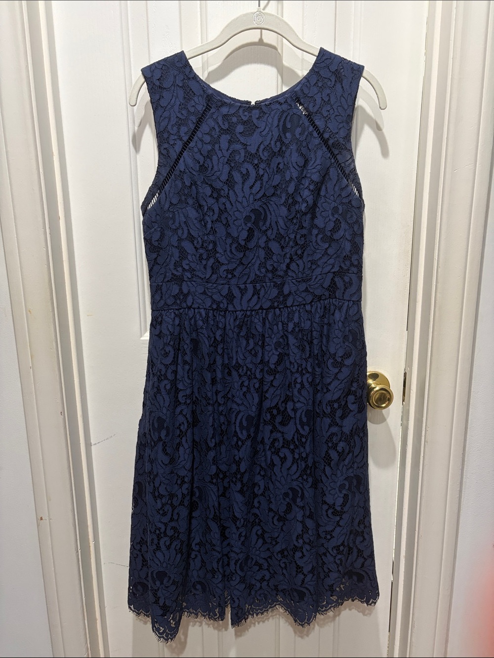 Eliza J Navy Lace A Line Midi Dress
